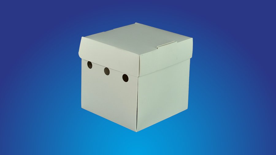 Modelos de Embalagens